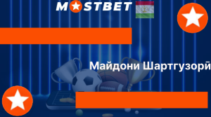 Майдони Шартгузорӣ Майдони Шартгузорӣ